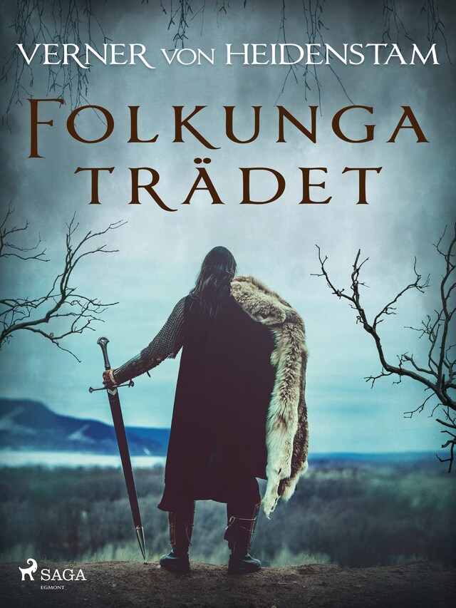 Okładka książki dla Folkungaträdet