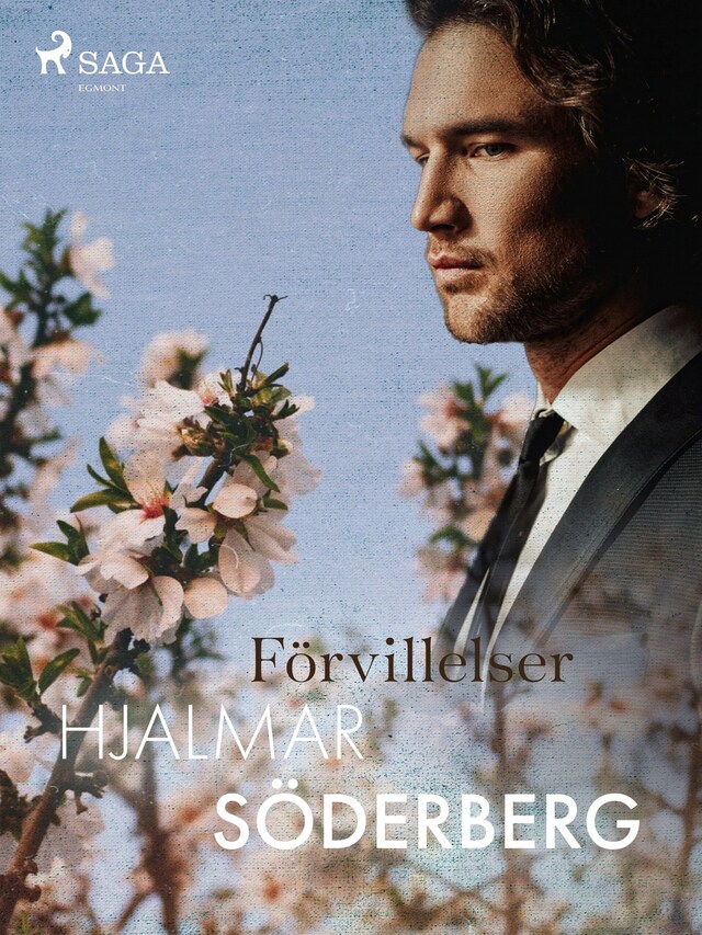 Förvillelser Bokomslag for Förvillelser