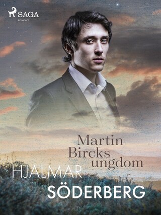 Martin Bircks Ungdom bookCoverFor