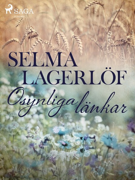 Osynliga Länkar bookCoverFor