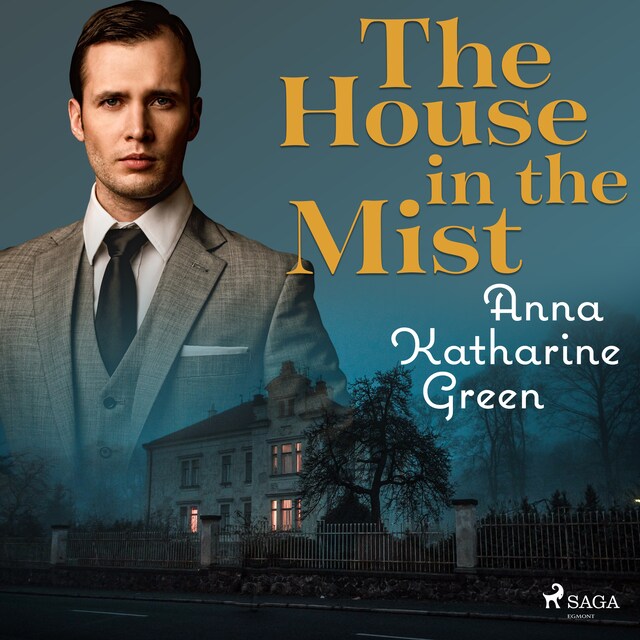Book cover for The house in the Mist