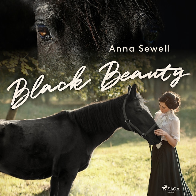 Black Beauty Book cover for Black Beauty