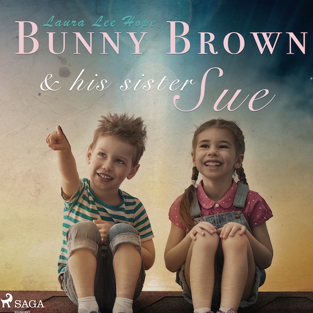 Bunny Brown and his Sister Sue Book cover for Bunny Brown and his Sister Sue