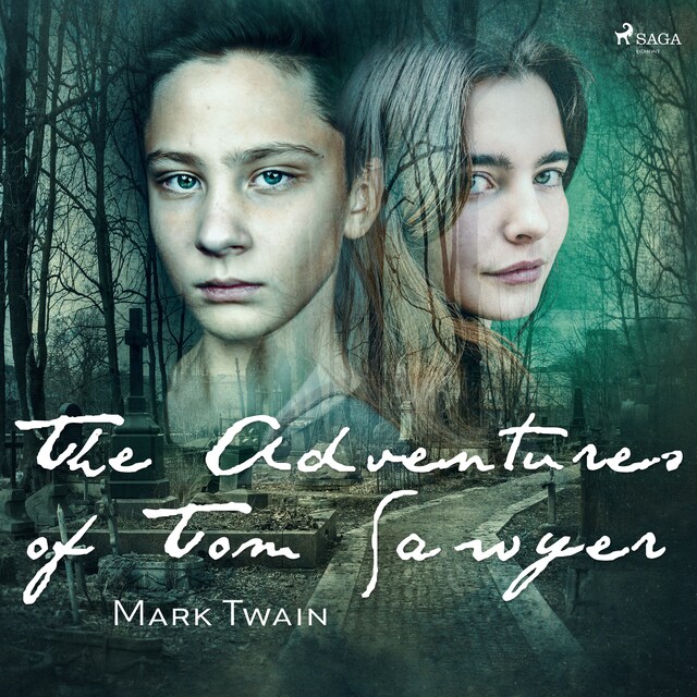 Boekomslag van The Adventures of Tom Sawyer