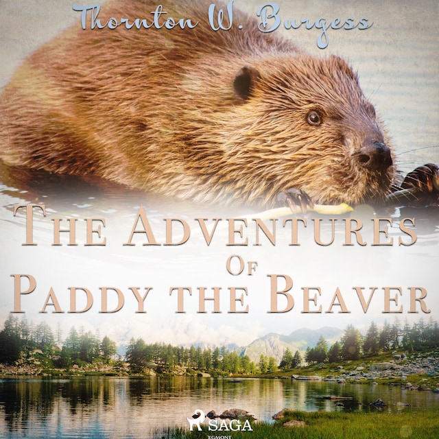 Kirjankansi teokselle The Adventures of Paddy the Beaver