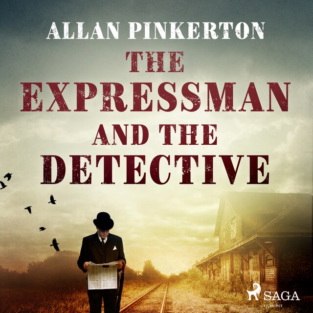 Book cover for The Expressman and the Detective