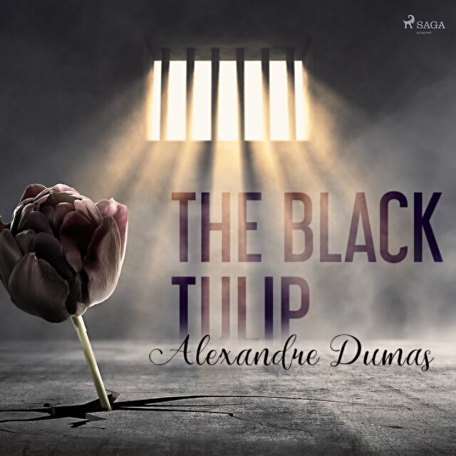 Book cover for The Black Tulip