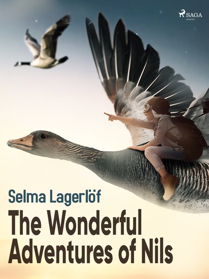 The Wonderful Adventures of Nils bookCoverFor