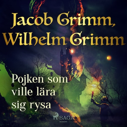 Pojken som ville lära sig rysa bookCoverFor