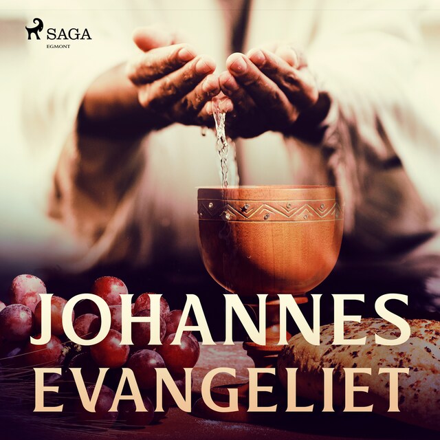 Book cover for Johannesevangeliet