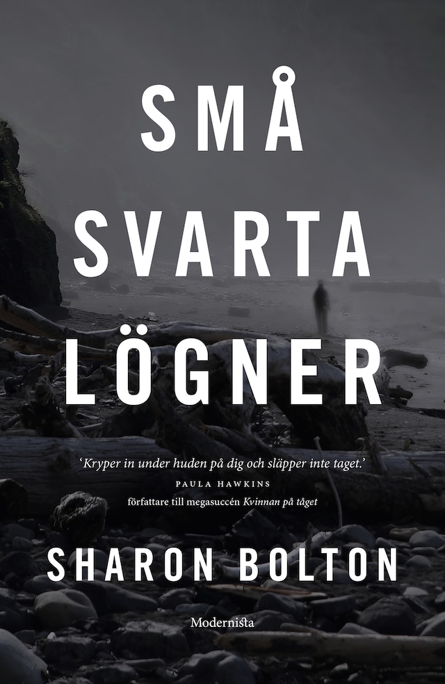 Book cover for Små svarta lögner