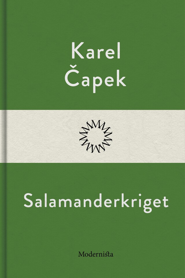 Book cover for Salamanderkriget