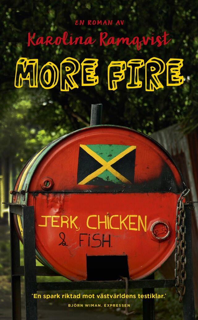 Book cover for More Fire