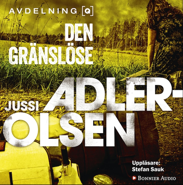 Okładka książki dla Den gränslöse