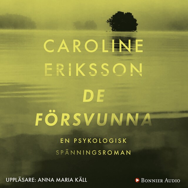 Book cover for De försvunna