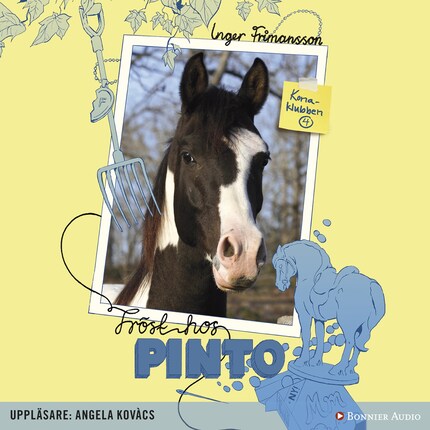 Tröst hos Pinto bookCoverFor