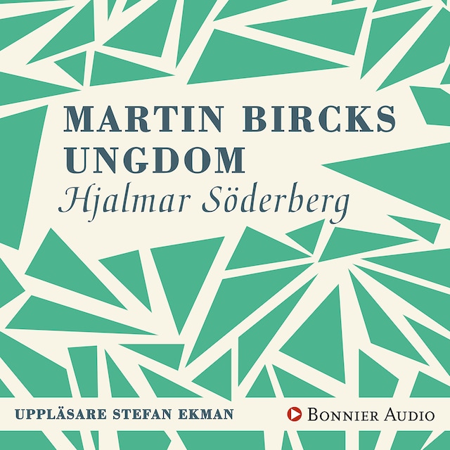Bokomslag för Martin Bircks ungdom