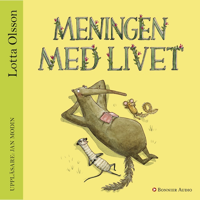 Okładka książki dla Meningen med livet