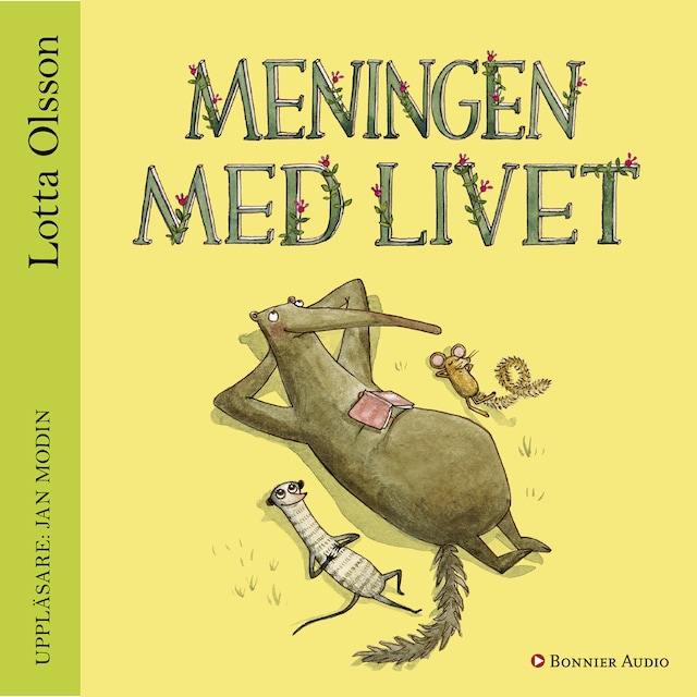 Book cover for Meningen med livet