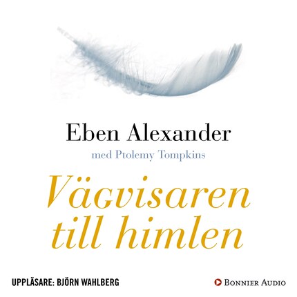 Vägvisaren till himlen : hur vetenskap, religion och vanliga människor påvisar att det finns ett liv efter döden bookCoverFor