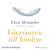 Vägvisaren till himlen : hur vetenskap, religion och vanliga människor påvisar att det finns ett liv efter döden