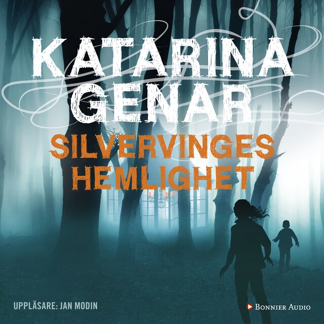 Book cover for Silvervinges hemlighet