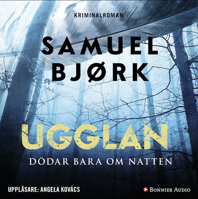 Okładka książki dla Ugglan dödar bara om natten