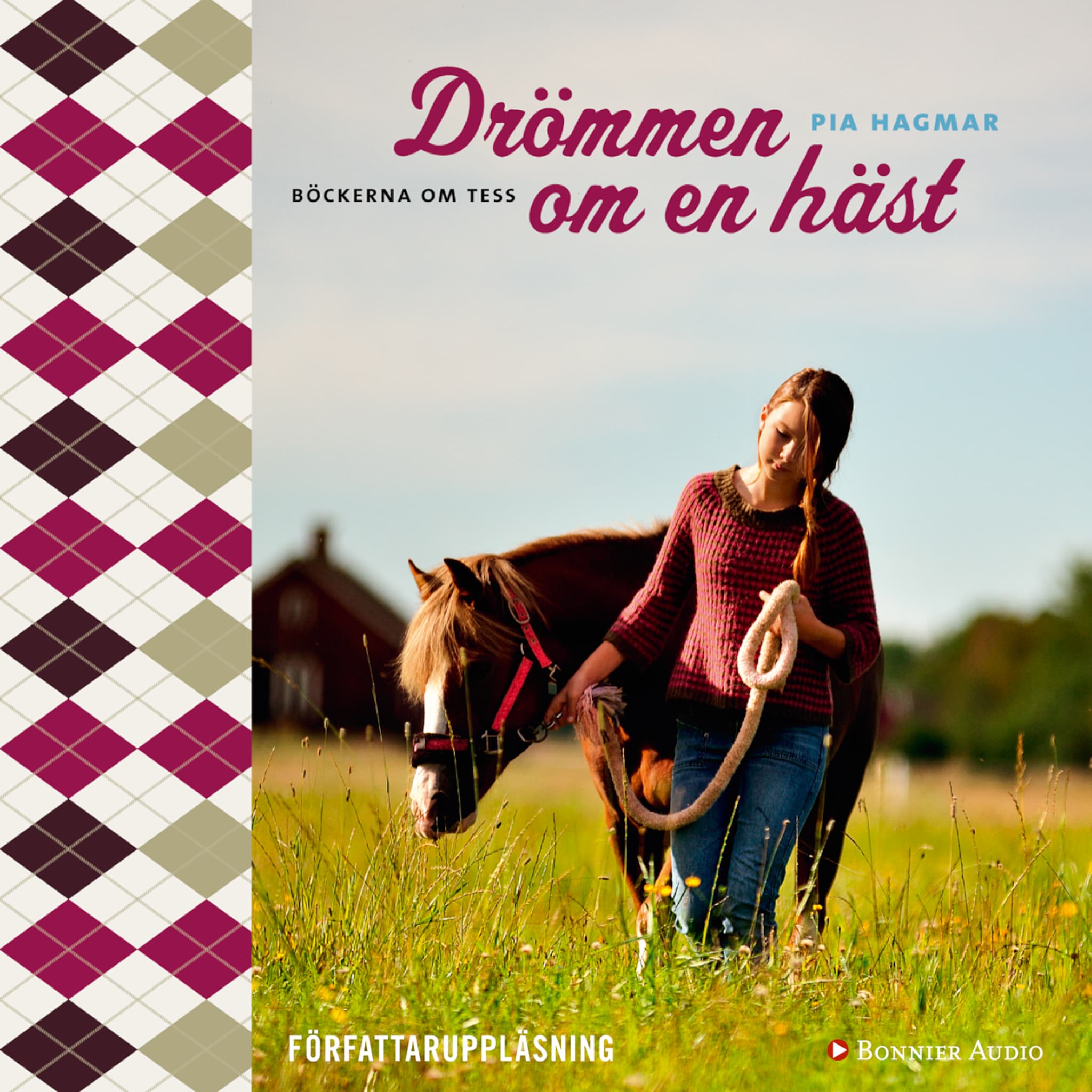 Drömmen om en häst