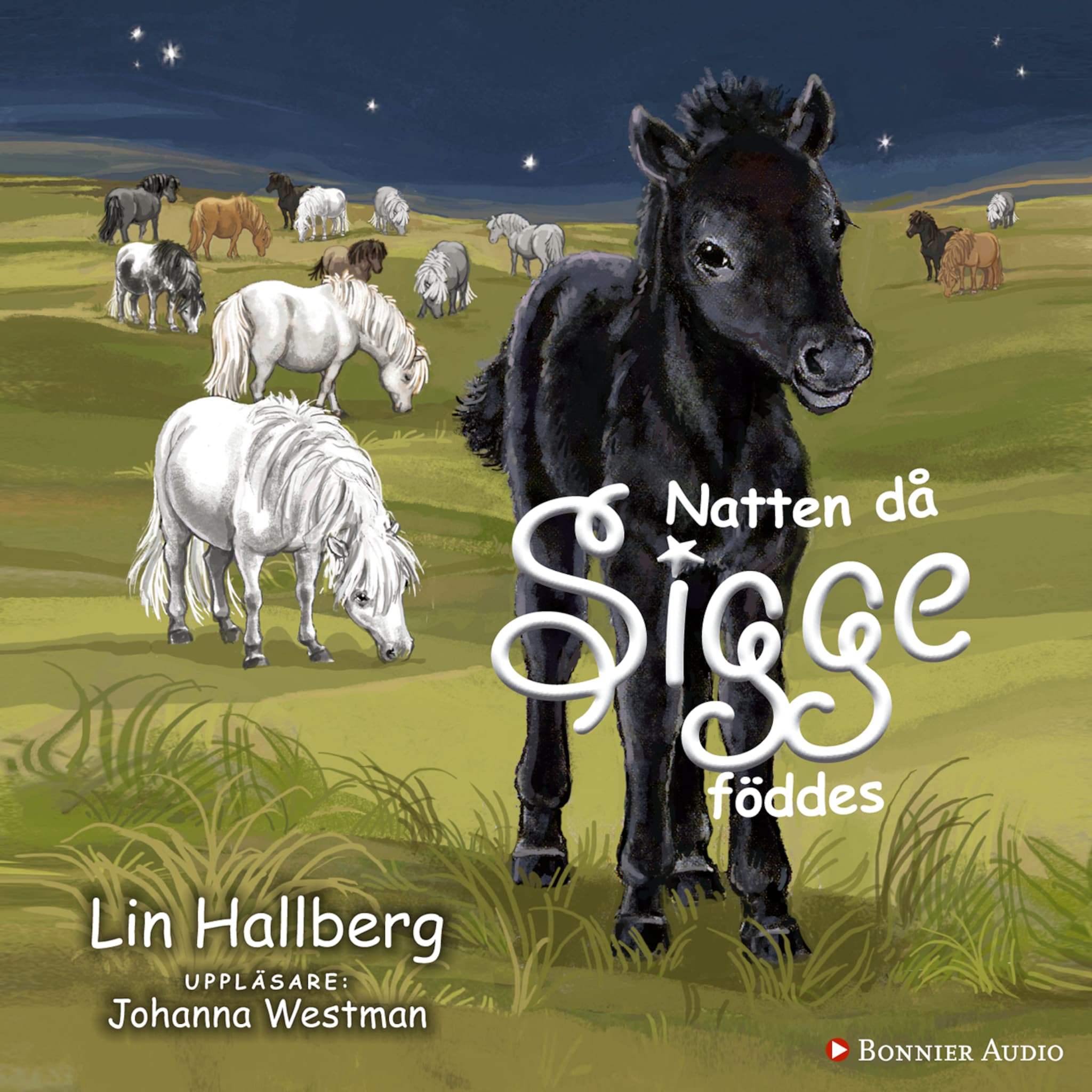 Natten då Sigge föddes