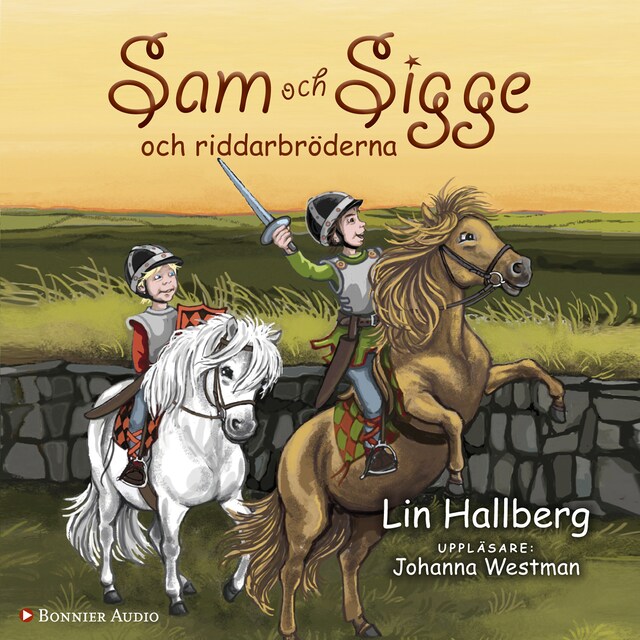 Book cover for Sam och Sigge och riddarbröderna