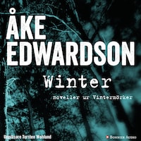 Winter : noveller ur Vintermörker
