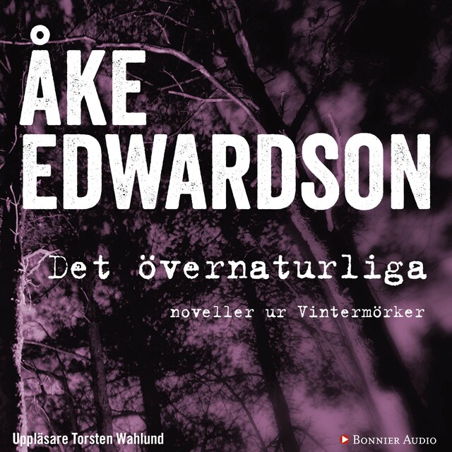 Book cover for Det övernaturliga : noveller ur Vintermörker