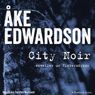 City Noir : noveller ur Vintermörker bookCoverFor