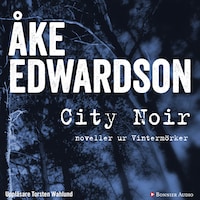 City Noir : noveller ur Vintermörker