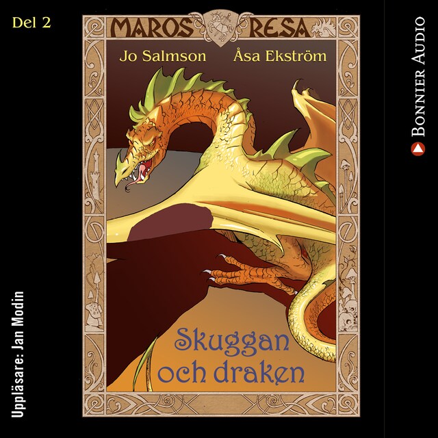 Couverture de livre pour Skuggan och draken