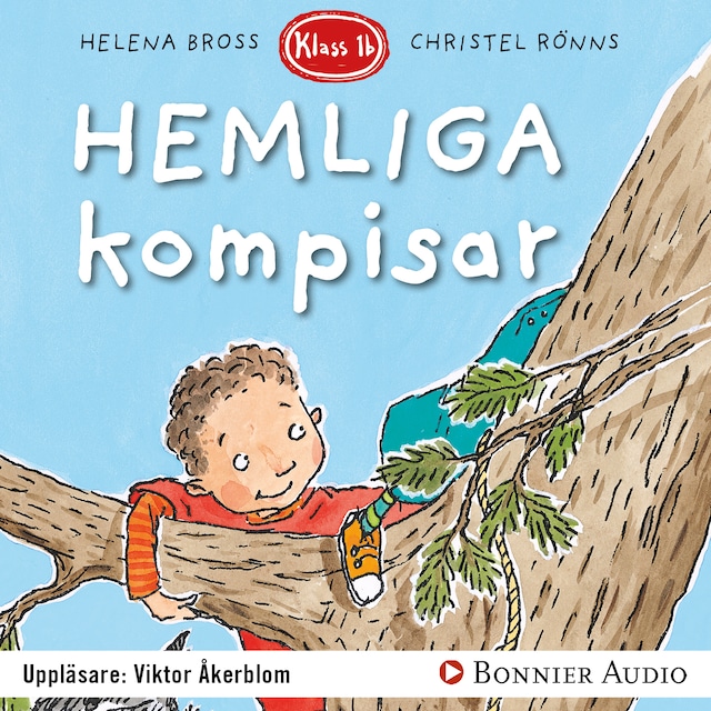 Couverture de livre pour Hemliga kompisar