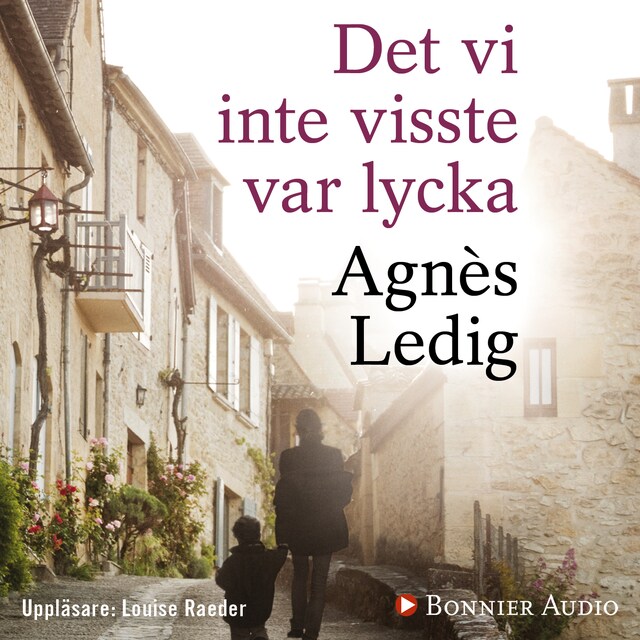 Book cover for Det vi inte visste var lycka