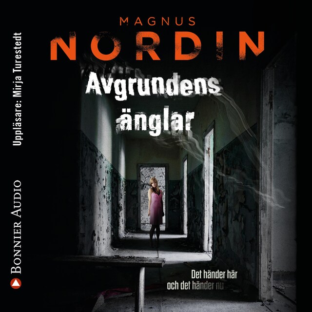 Couverture de livre pour Avgrundens änglar