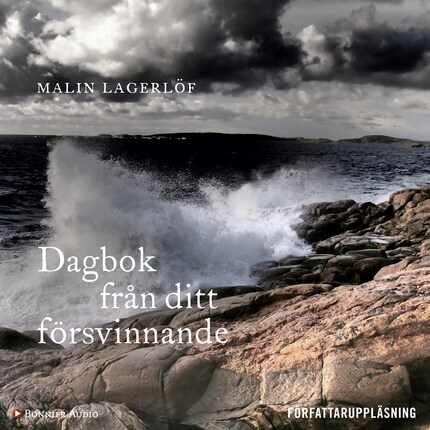 Dagbok från ditt försvinnande bookCoverFor