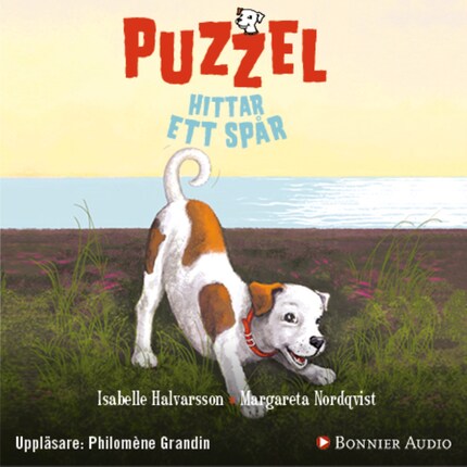 Puzzel hittar ett spår bookCoverFor