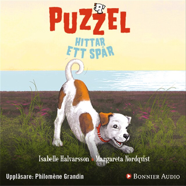 Buchcover für Puzzel hittar ett spår