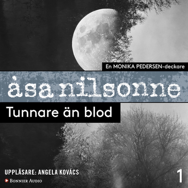 Couverture de livre pour Tunnare än blod