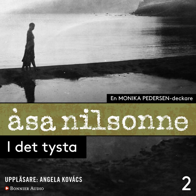 Book cover for I det tysta