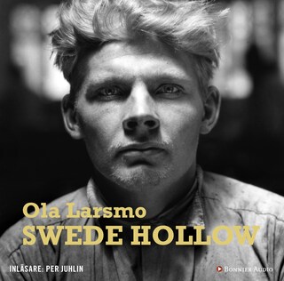 Swede Hollow bookCoverFor