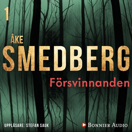 Försvinnanden bookCoverFor