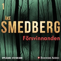 Försvinnanden