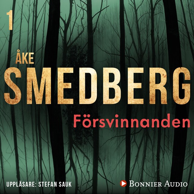 Okładka książki dla Försvinnanden