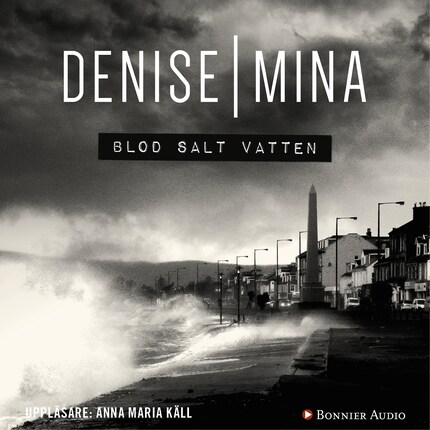 Blod salt vatten bookCoverFor