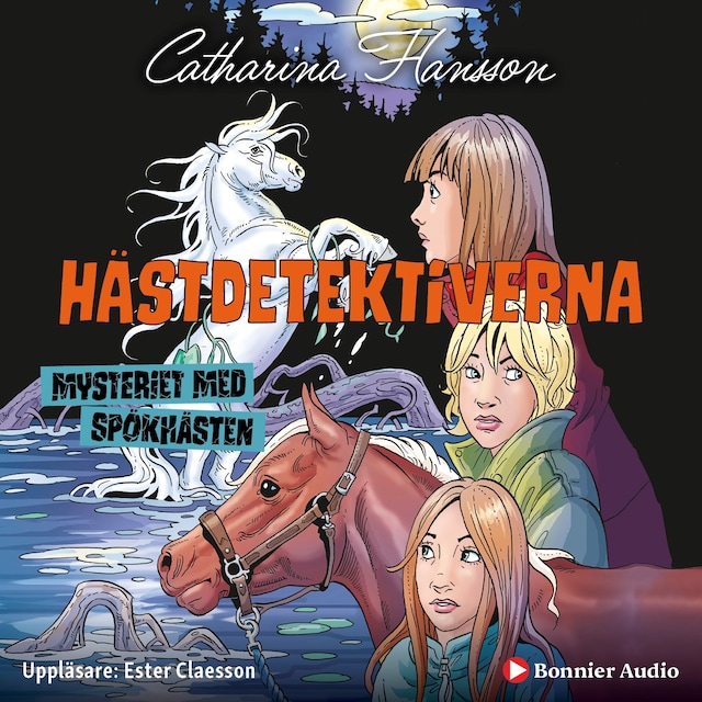 Book cover for Mysteriet med spökhästen