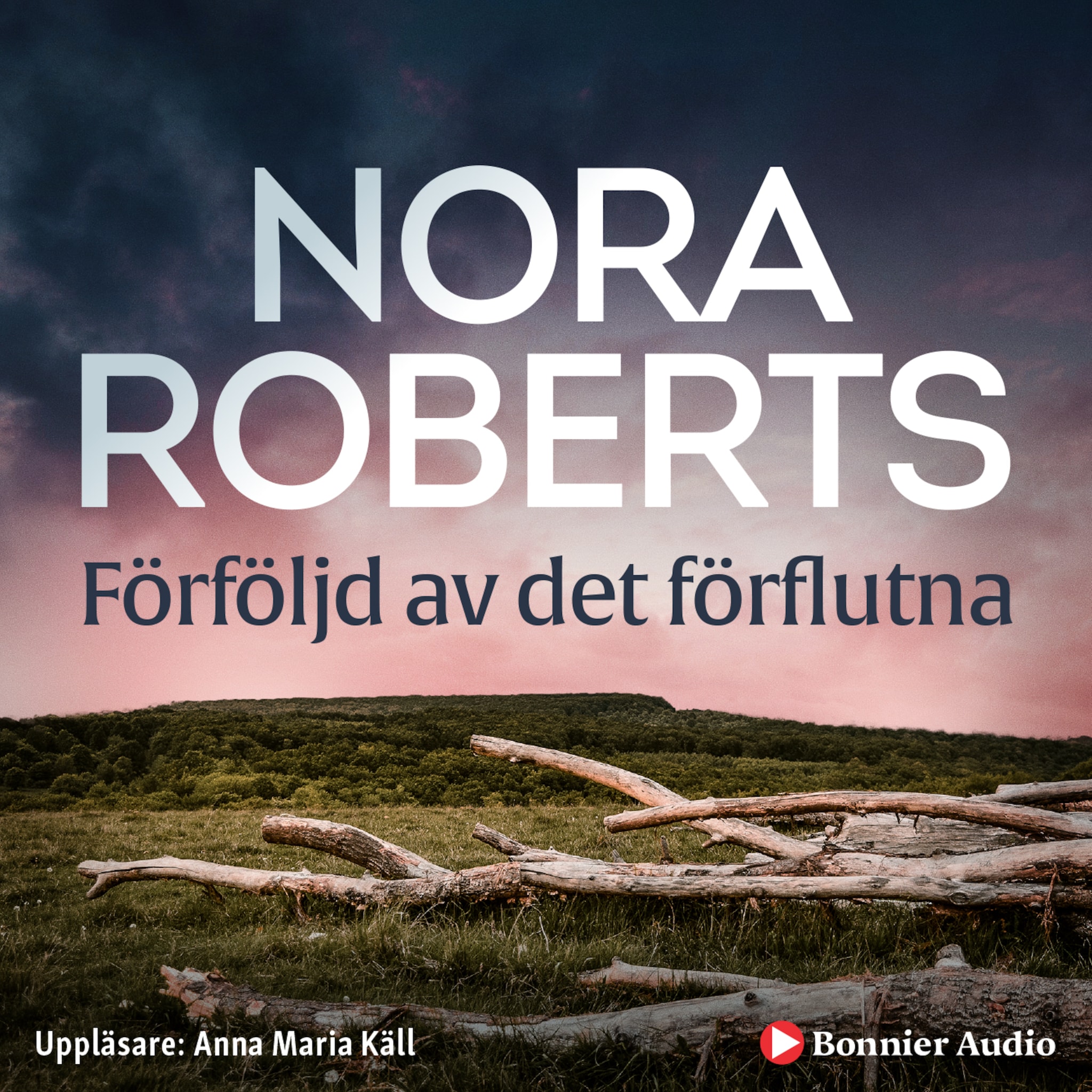 Förföljd av det förflutna